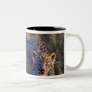 Luipaardwelp Panthera Pardus Tweekleurige Koffiemok