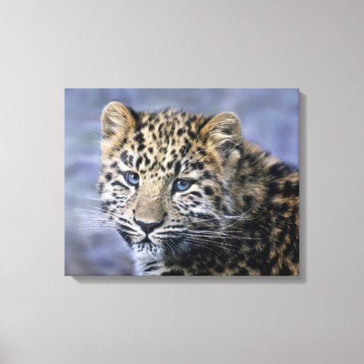Luipaardwelp Wrapped Canvas Print (Voorkant)