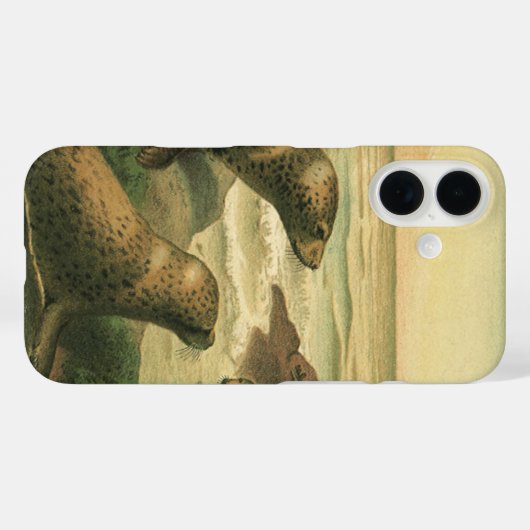 Luipaardzeehonden,  waterdieren Zeeleven Case-Mate iPhone Case (Achterkant (horizontaal))
