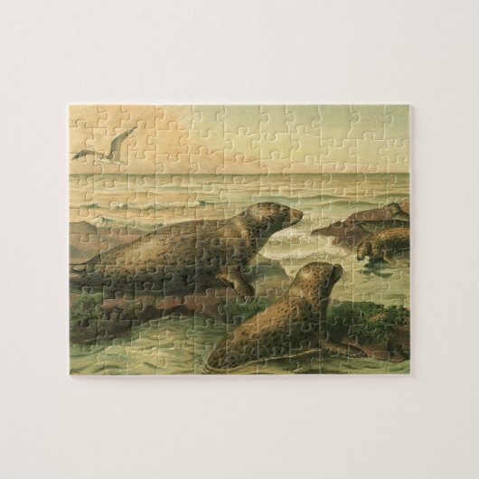 Luipaardzeehonden,  waterdieren Zeeleven Legpuzzel (Horizontaal)