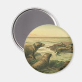 Luipaardzeehonden,  waterdieren Zeeleven Magneet (Voorkant / Achterkant)