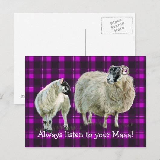 Luister altijd naar je Maya! Briefkaart (Voorkant / Achterkant)