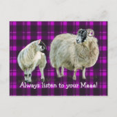 Luister altijd naar je Maya! Briefkaart (Voorkant)