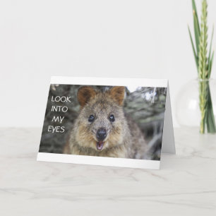 *LUISTER NAAR WAT IK ZEG/HEB DE BESTE VERJAARDAG O KAART