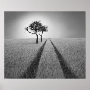 Luister naar Wisdom Poster