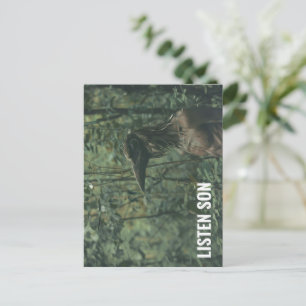Luister zoon Forest Birdman Briefkaart