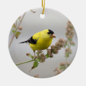 Luisteren Goldfinch Keramisch Ornament (Voorkant)