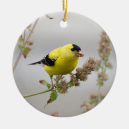 Luisteren Goldfinch Keramisch Ornament