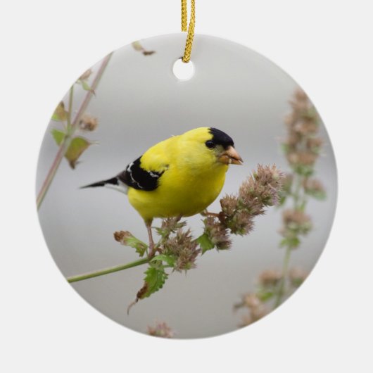 Luisteren Goldfinch Keramisch Ornament (Voorkant)