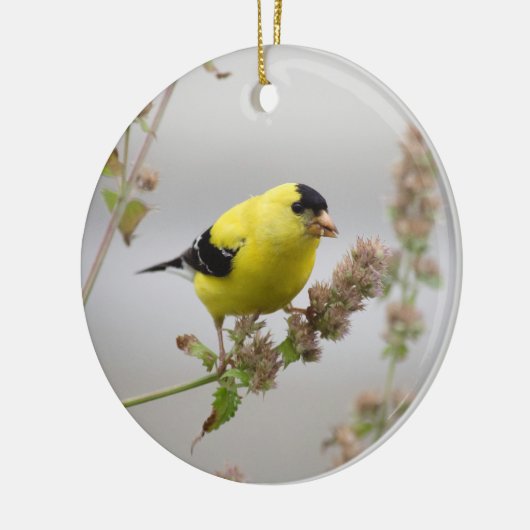 Luisteren Goldfinch Keramisch Ornament (Links)