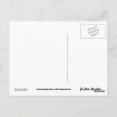 LUISTEREN JE HAROLD? briefkaart (Achterkant)