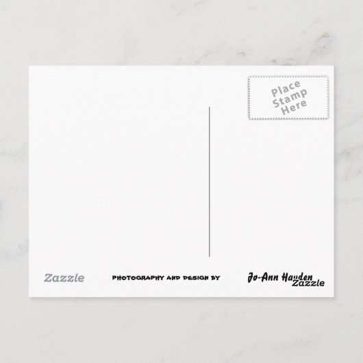 LUISTEREN JE HAROLD? briefkaart (Achterkant)