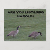 LUISTEREN JE HAROLD? briefkaart (Voorkant)