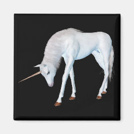 Luistermagneet Magneet