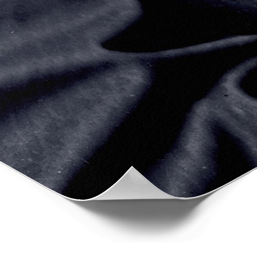 Luitenant-generaal Ulysses S. GRANT Poster (Hoek)