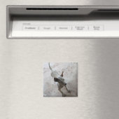 Luk Maa ... Thai Soi Puppy Dog Magneet (Insitu (Vaatwasser))