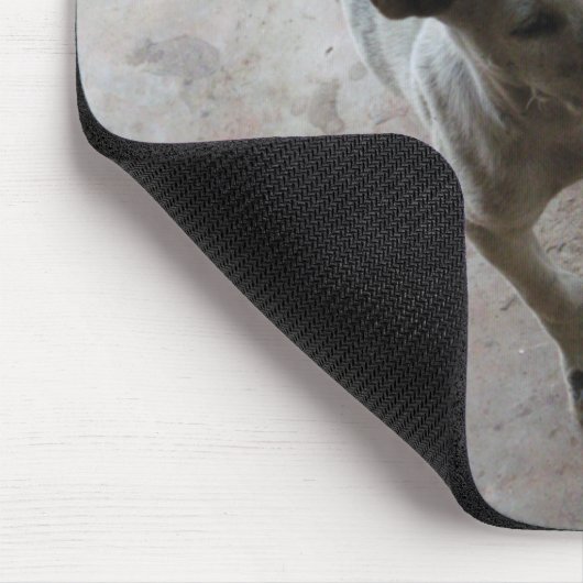 Luk Maa ... Thai Soi Puppy Dog Muismat (Hoek)