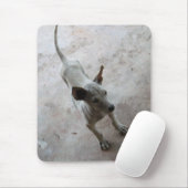 Luk Maa ... Thai Soi Puppy Dog Muismat (Met muis)