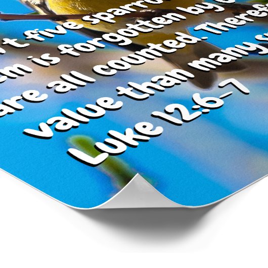 Lukas 12:6-7 poster (Hoek)