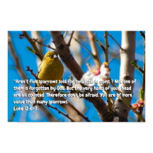 Lukas 12:6-7