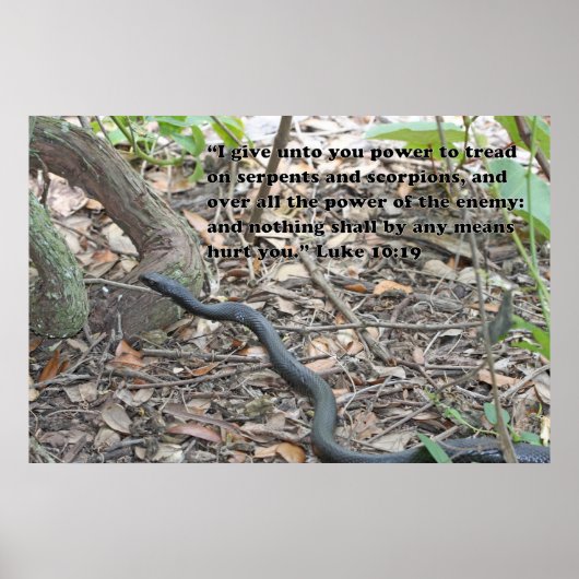 Luke 10:19 het Poster van de Manuscript (Voorkant)