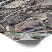 Luke 10:19 het Poster van de Manuscript (Hoek)