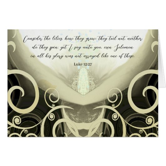 Luke 12:27-overweeg de leugens-God Will Comfort (Voorkant Horizontaal)