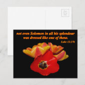 luke 12:27b en heldere tulpen briefkaart (Voorkant / Achterkant)
