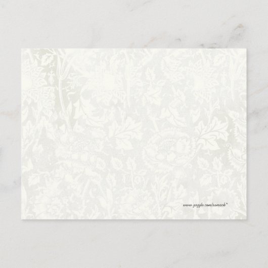 Luke 12:7 u bent waardevoller dan vele vongen briefkaart (Achterkant)