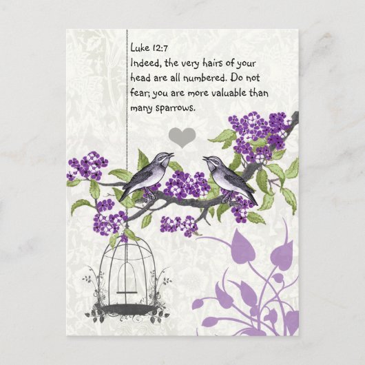 Luke 12:7 u bent waardevoller dan vele vongen briefkaart (Voorkant)