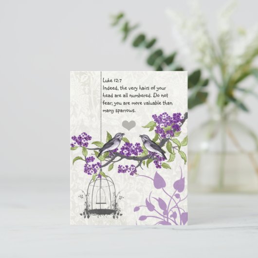 Luke 12:7 u bent waardevoller dan vele vongen briefkaart (Staand voorkant)