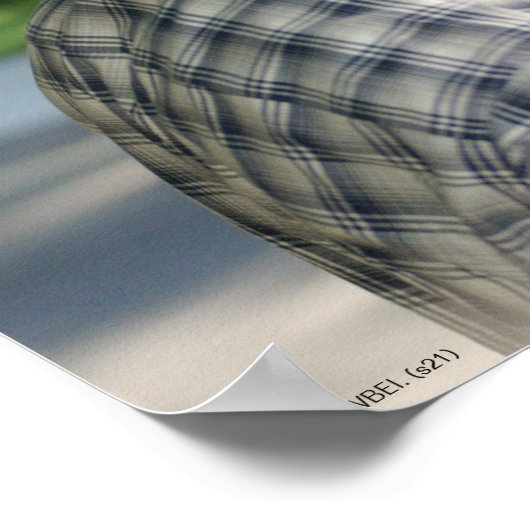 Luke en Lorelai Gilmore Poster (Hoek)