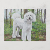 Luke het Briefkaart van de Golden Doodle Dog (Voorkant)
