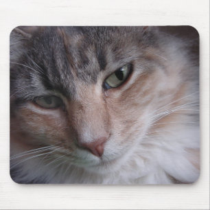 Lulu close-up muismat