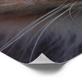 Lulu close-up poster (Hoek)