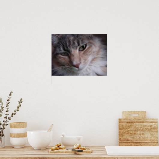 Lulu close-up poster (Keuken)