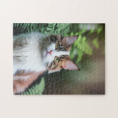 Lulu De Bruine Ragdoll Kat, puzzel (Horizontaal)