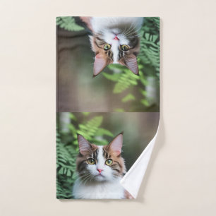 Lulu de Ragdoll kat, handdoek