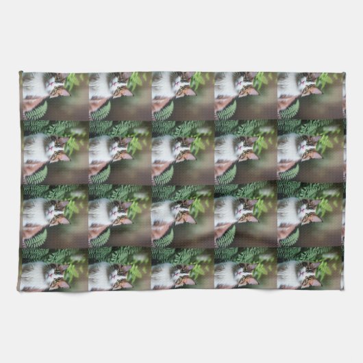 Lulu de Ragdoll kat, schotel handdoek (Horizontaal)