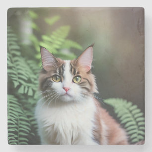 Lulu De Ragdoll Kat, Stenen Onderzetter