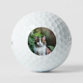 Lulu De Ragdoll Kat, Titleist Golfballen (Voorkant)