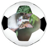 Lulu De Ragdoll Kat, Voetbal (Gedraaid)