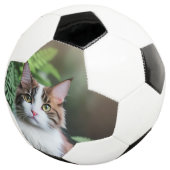 Lulu De Ragdoll Kat, Voetbal (Drie kwart)