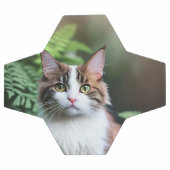 Lulu De Ragdoll Kat, Voetbal (Enkel)