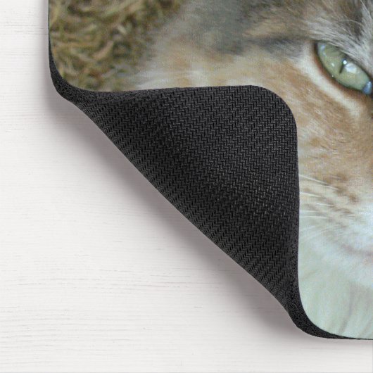 Lulu - dozing op Noon Muismat (Hoek)