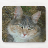 Lulu - dozing op Noon Muismat (Voorkant)