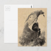 Lulu Macaw Sketch Briefkaart (Voorkant / Achterkant)