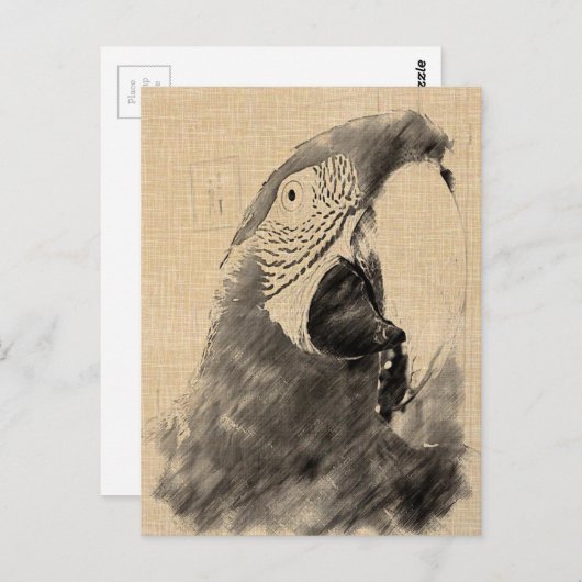 Lulu Macaw Sketch Briefkaart (Voorkant / Achterkant)