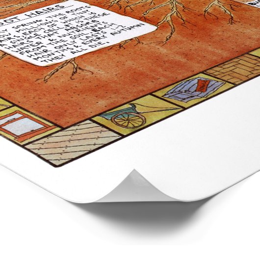 Lulu-poster Poster (Hoek)