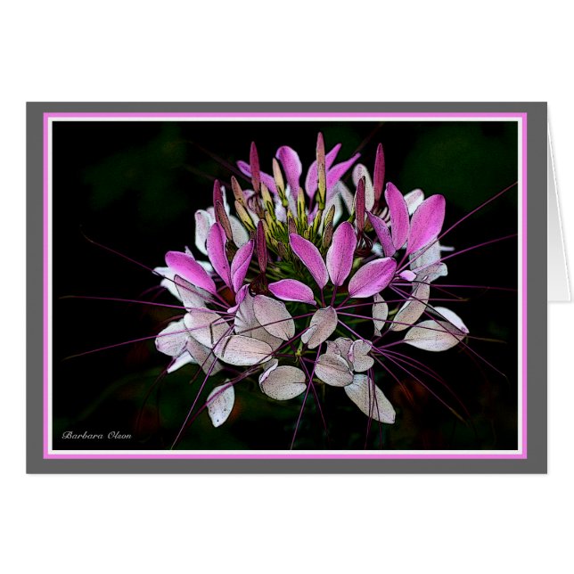 Lulu's tuin (Voorkant Horizontaal)